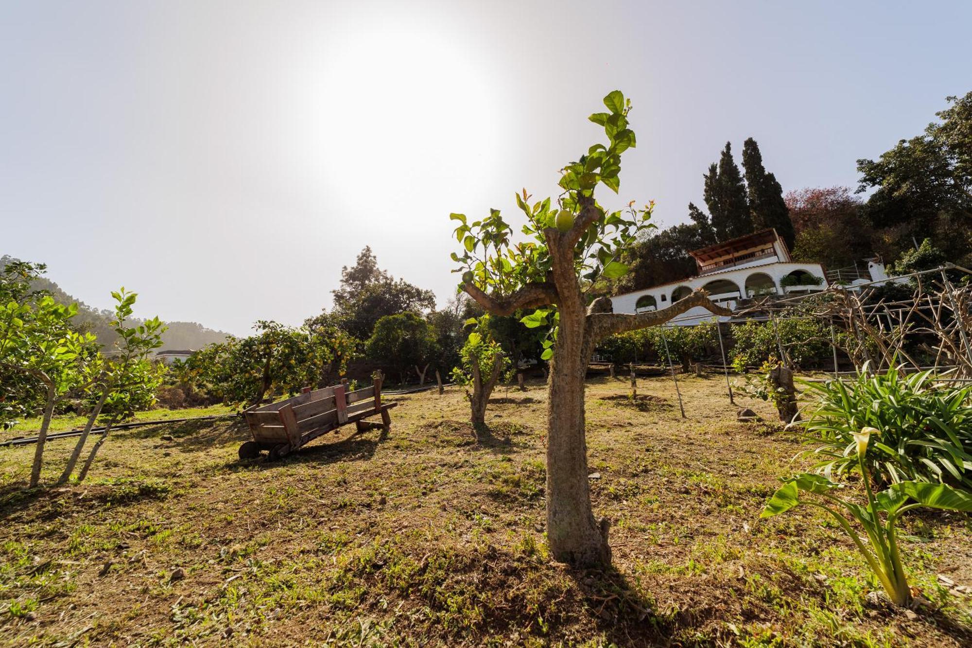 Finca Los Arcos Del Laurel Moya  Екстериор снимка