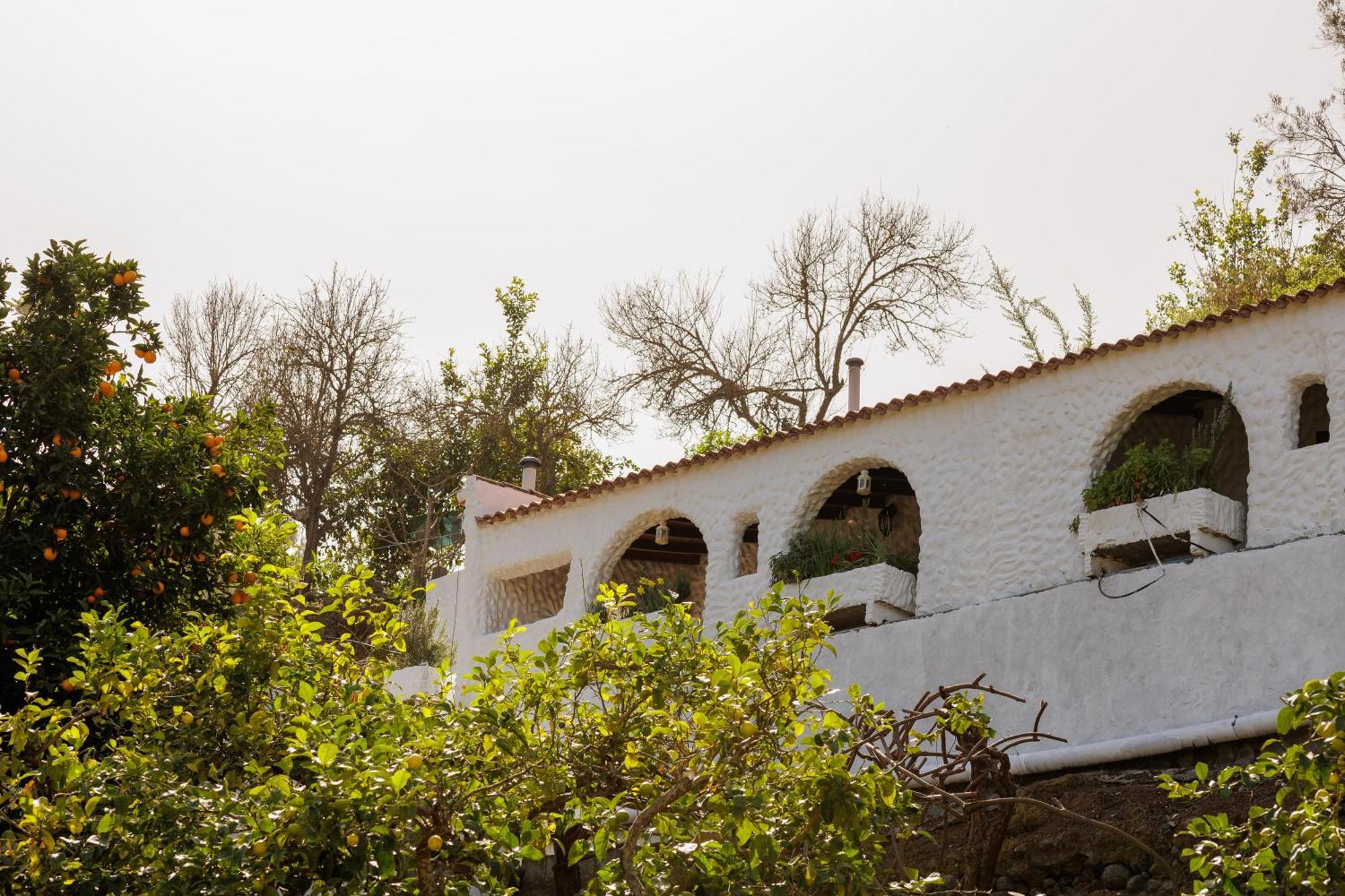 Finca Los Arcos Del Laurel Moya  Екстериор снимка