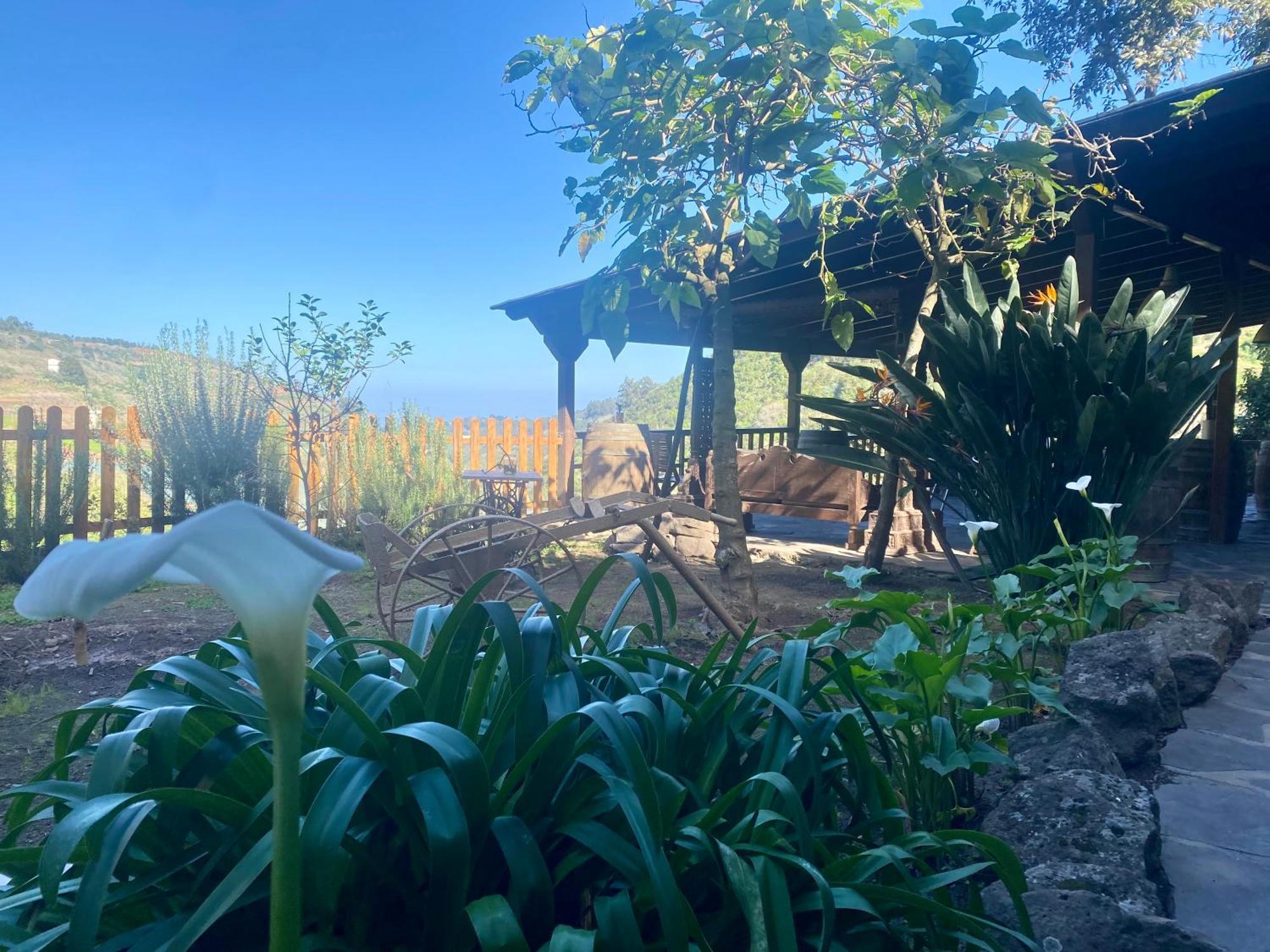 Finca Los Arcos Del Laurel Moya  Екстериор снимка