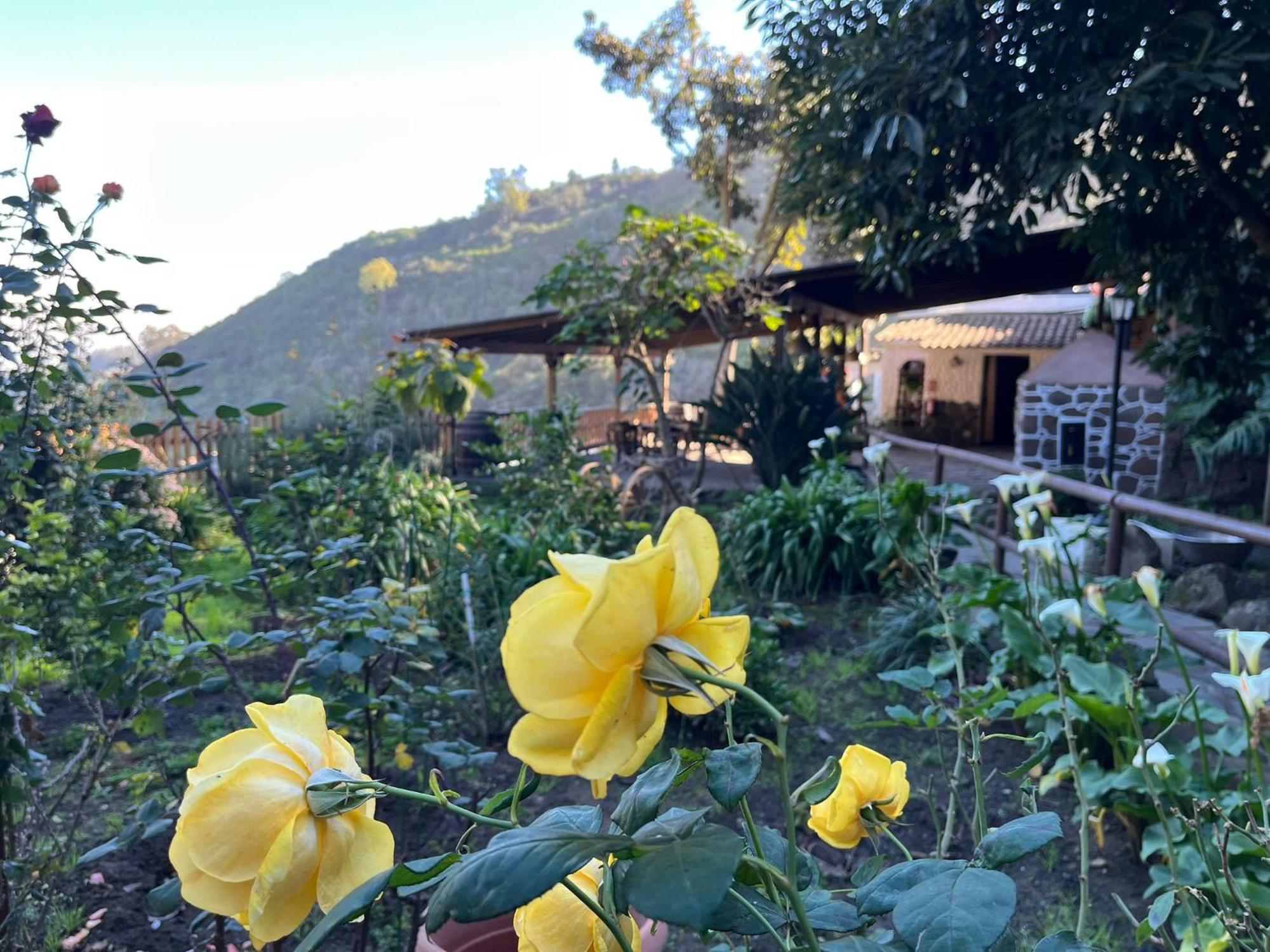 Finca Los Arcos Del Laurel Moya  Екстериор снимка