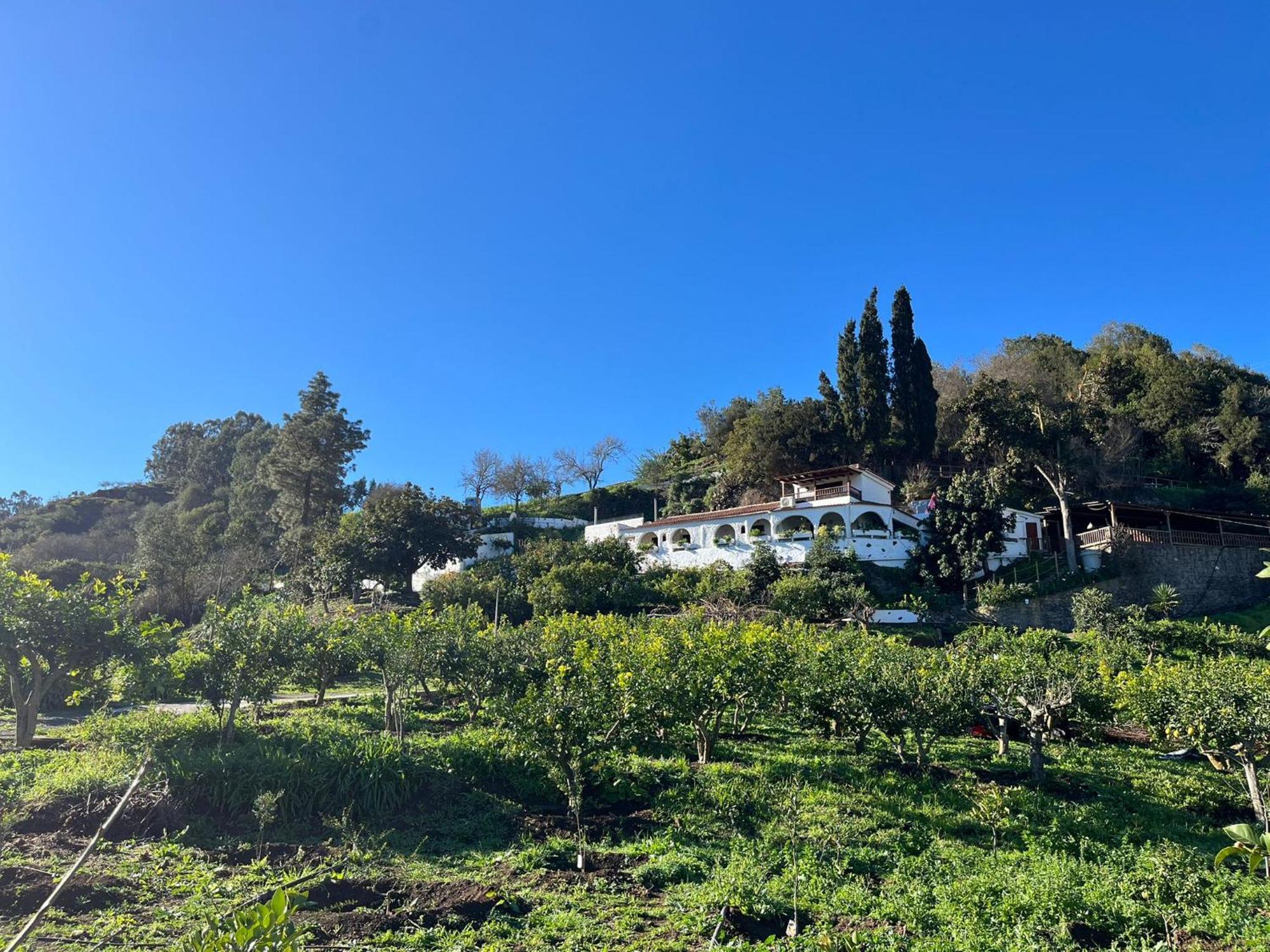 Finca Los Arcos Del Laurel Moya  Екстериор снимка
