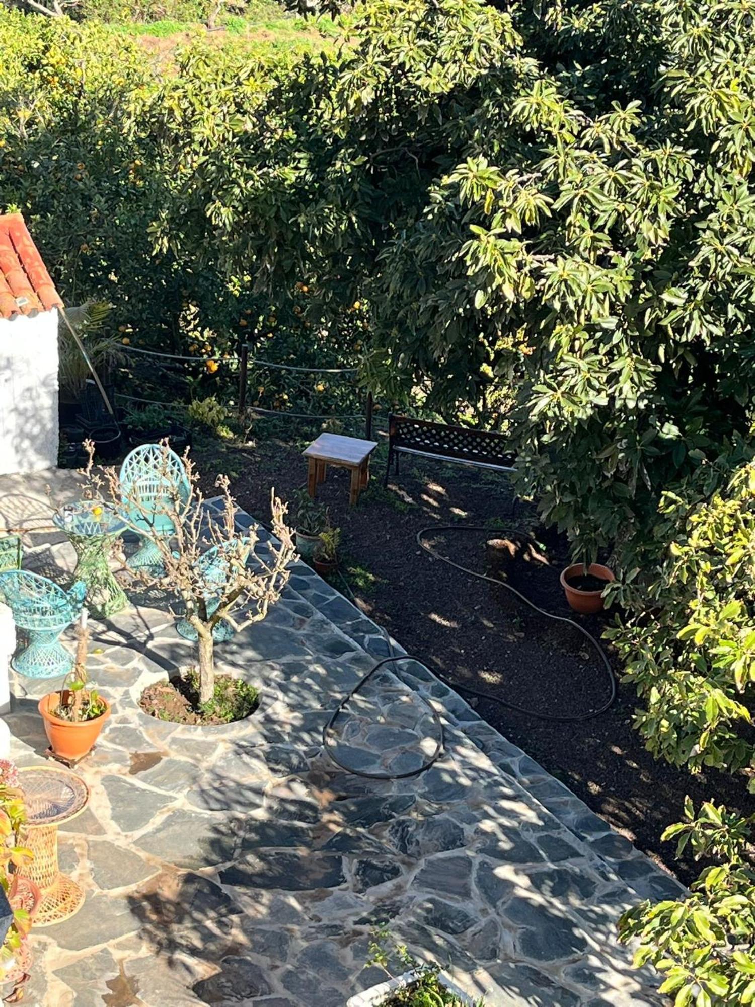 Finca Los Arcos Del Laurel Moya  Екстериор снимка