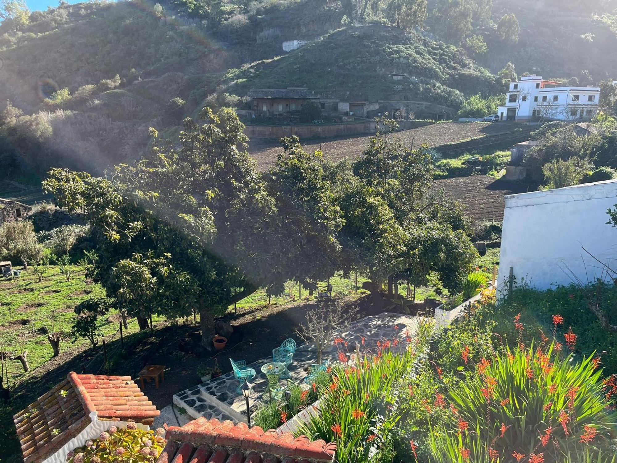 Finca Los Arcos Del Laurel Moya  Екстериор снимка