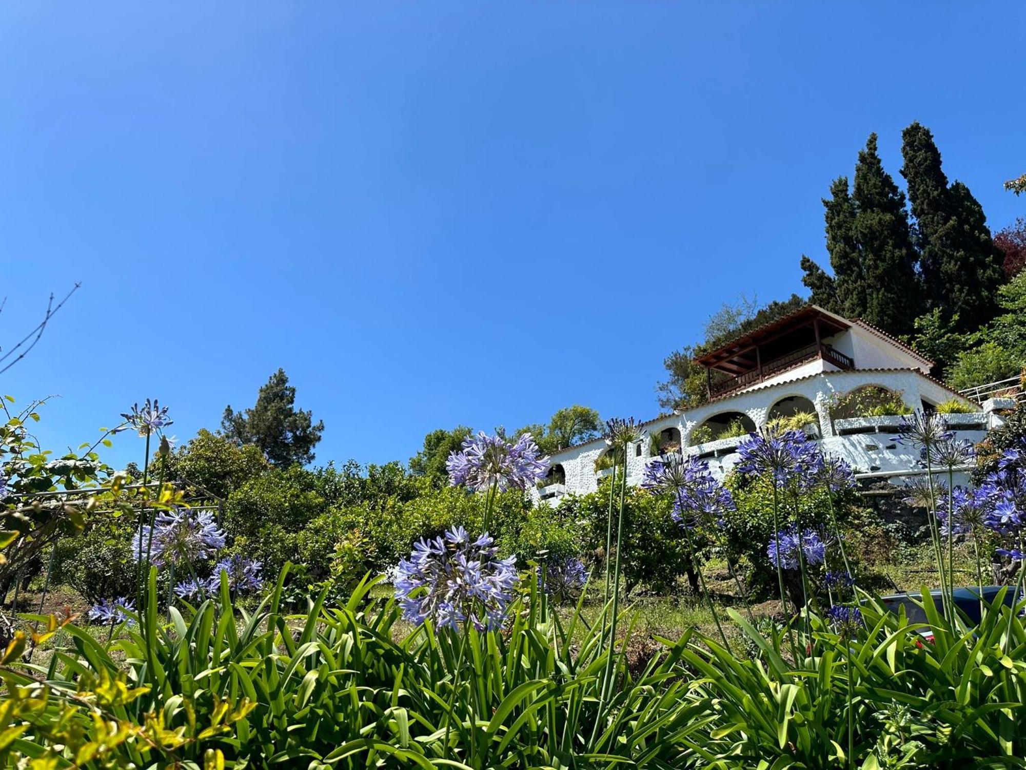 Finca Los Arcos Del Laurel Moya  Екстериор снимка